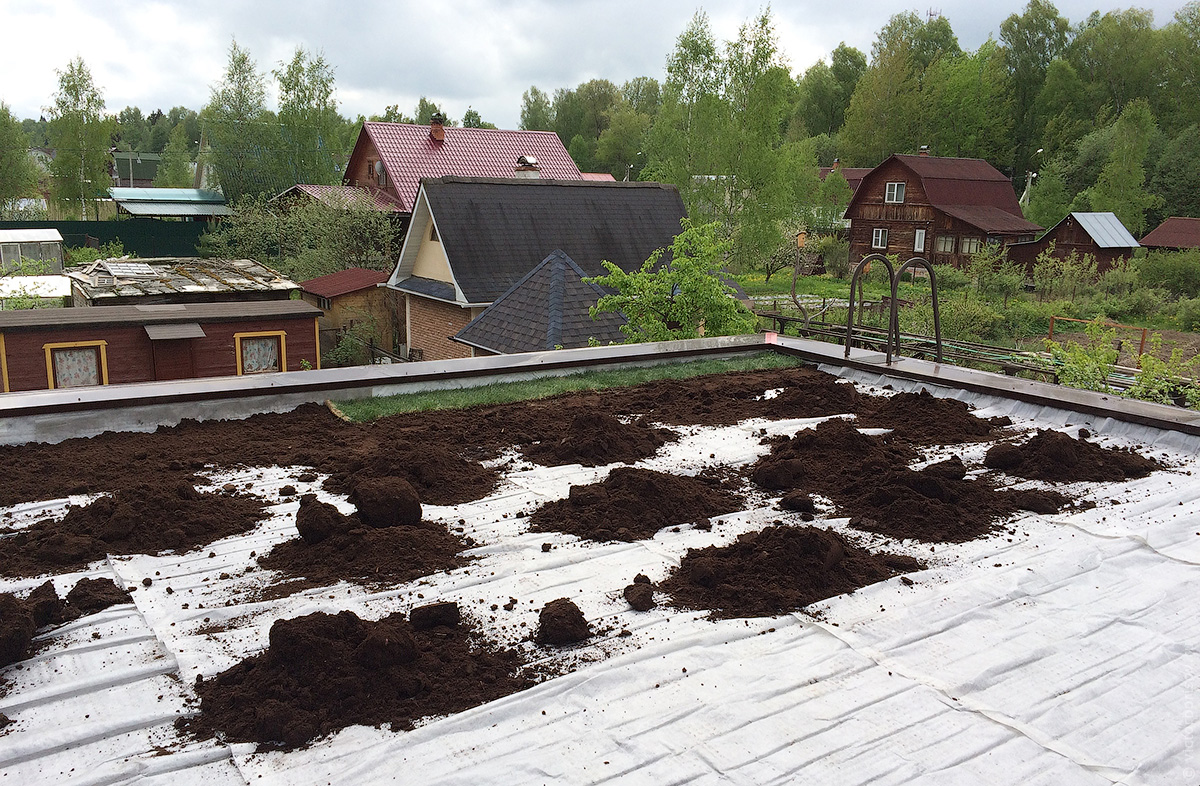 Как сделать газон на крыше загородного дома своими руками 
