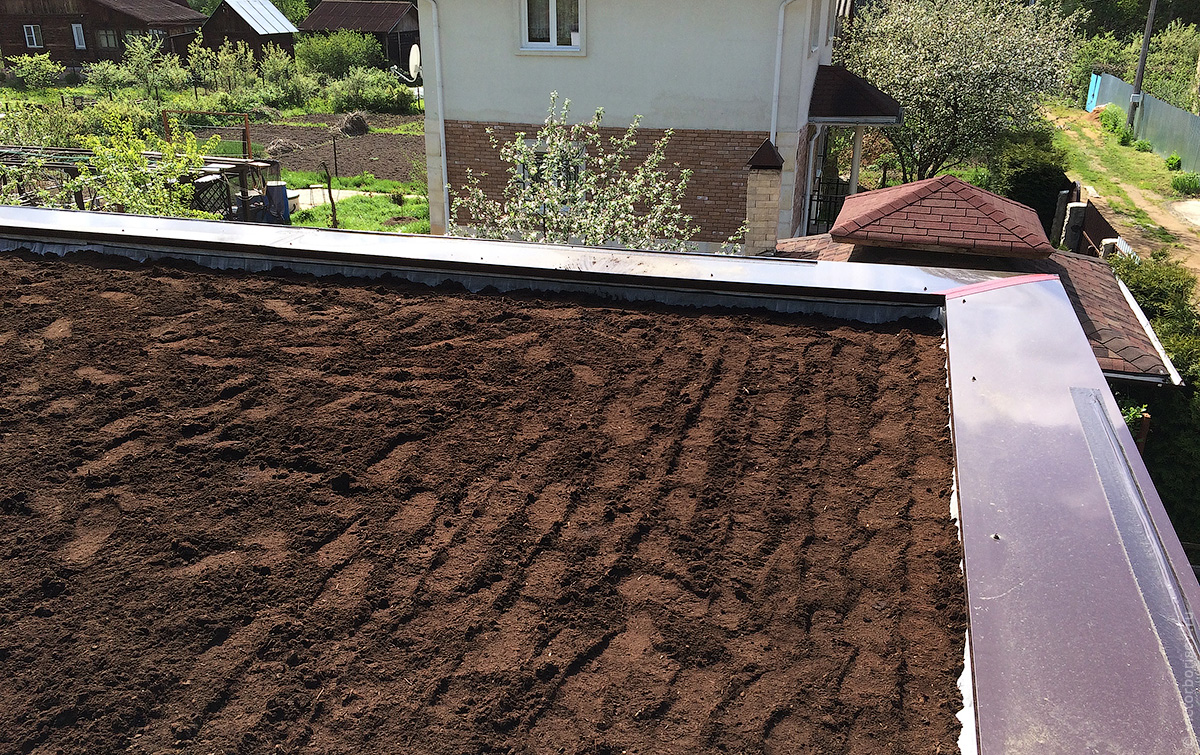 Как сделать газон на крыше загородного дома своими руками 